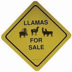 llamas_for_sale_sign.jpg