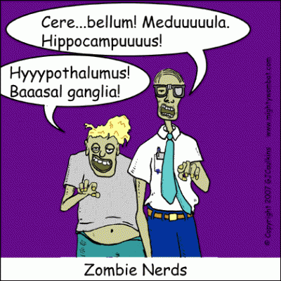 funny zombie. dealt with zombie films.
