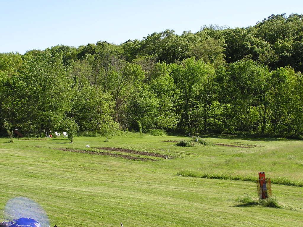 Harvesting Walnuts - Need Expert Advice - Homesteading Questions