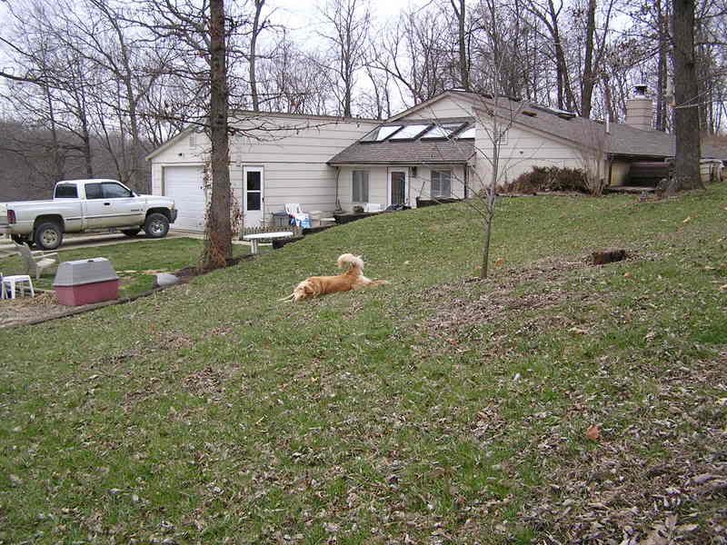 Starting over.... - Homesteading Questions