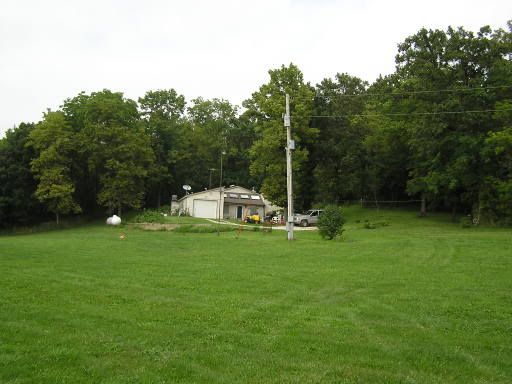 Harvesting Walnuts - Need Expert Advice - Homesteading Questions