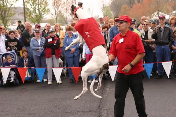 IMAGE: http://img.photobucket.com/albums/v471/Skydogs/IMG_3967.jpg