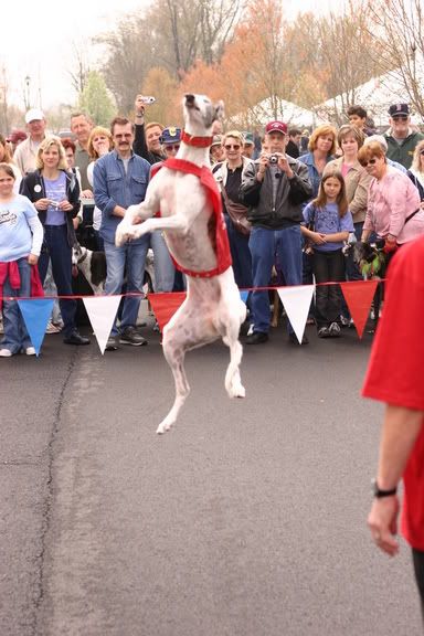 IMAGE: http://img.photobucket.com/albums/v471/Skydogs/IMG_3977.jpg