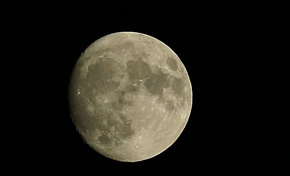 IMAGE: http://img.photobucket.com/albums/v471/Skydogs/IMG_7374copy1.jpg