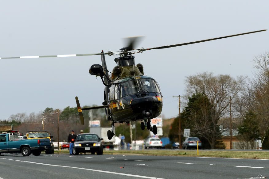 IMAGE: http://img.photobucket.com/albums/v471/Skydogs/heb14.jpg