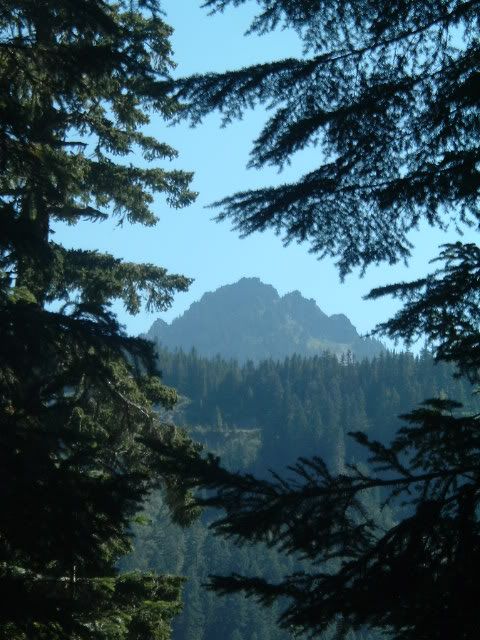 http://img.photobucket.com/albums/v471/djxstatik/MtRainier/DSCF7603.jpg