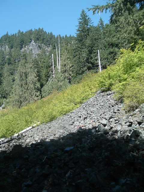 http://img.photobucket.com/albums/v471/djxstatik/MtRainier/DSCF7627.jpg