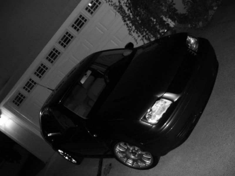 show some vdub love.. VW Vortex Volkswagen Forum