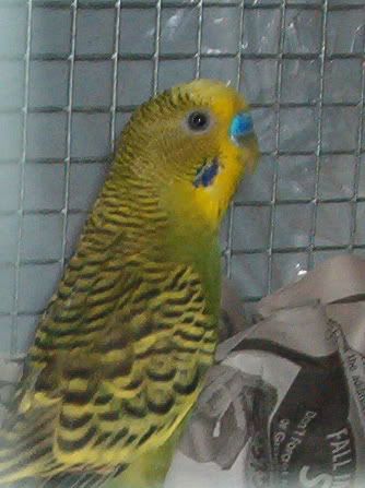 IM003570g.jpg