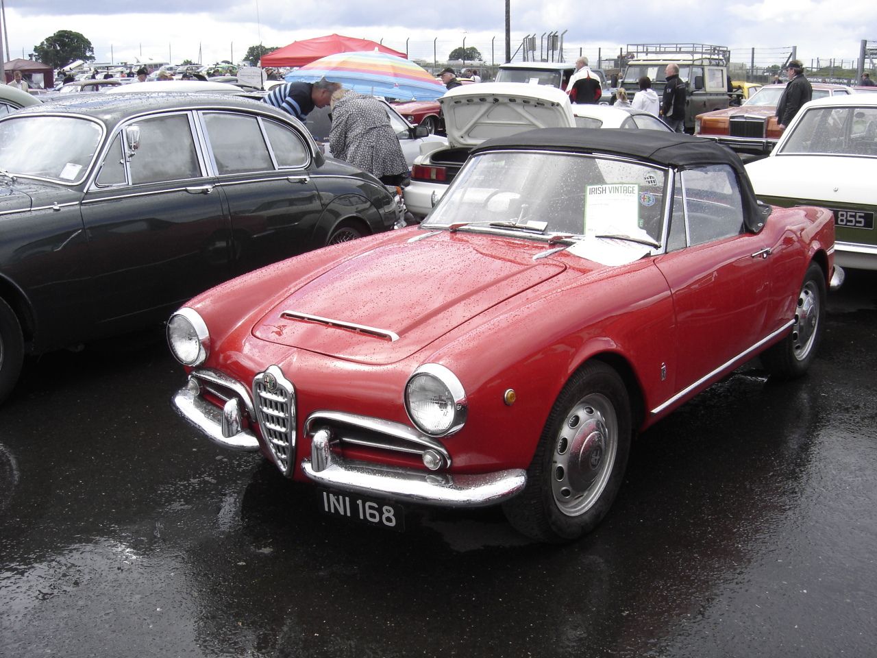 Cars018.jpg