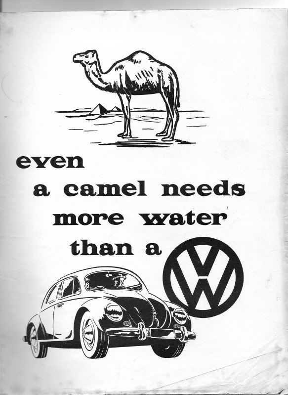 VWCamel.jpg