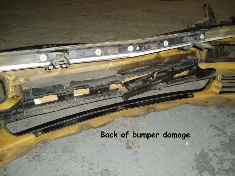 backofbumperdamage.jpg