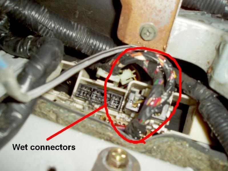wetconnectors.jpg