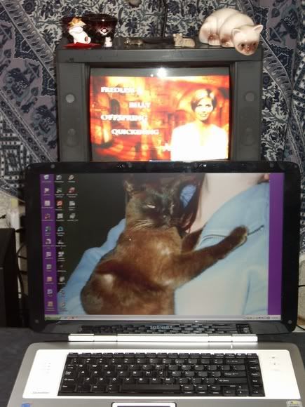 laptop screen vs. TV screen