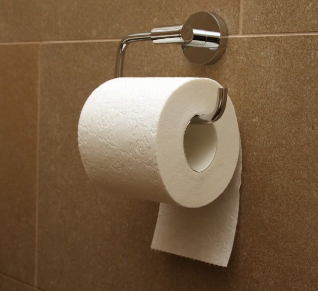 Toilet_paper_orientation_under.jpg