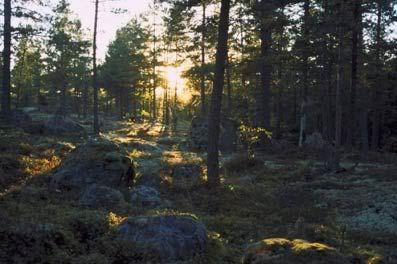 A47.jpg