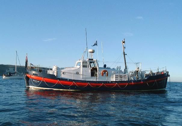 Re: Ex RNLI boats still in RNLI colours,whats your view?