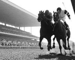 AffirmedAlydar_zps1964167c.jpg