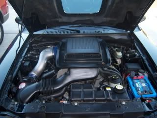 100_0006.jpg