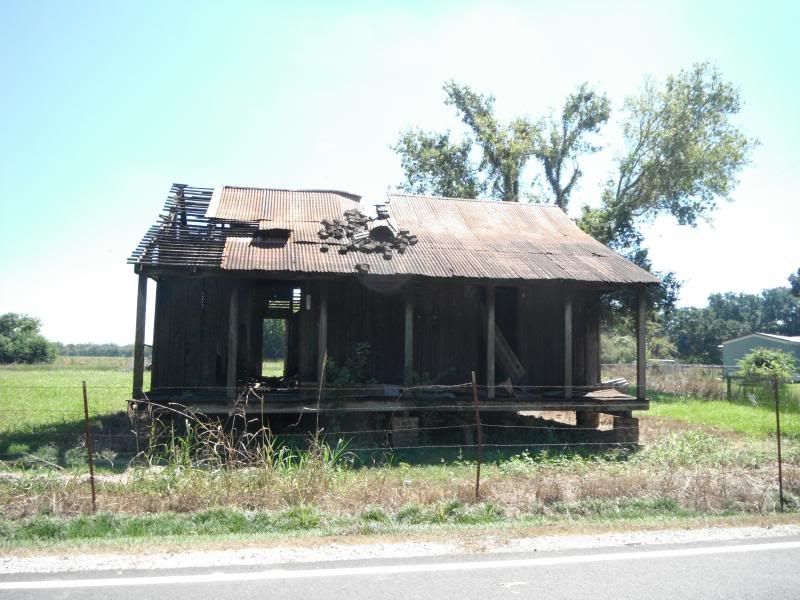 Laurel Valley Plantation, an abandoned sugarcane operation photo DSCF8577_zps9ca37c7f.jpg