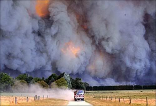 Bushfire-091.jpg