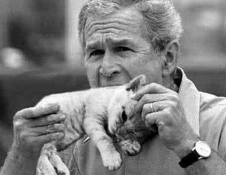 president-bush-eats-kitten-1259_zps6ef28e84.jpg