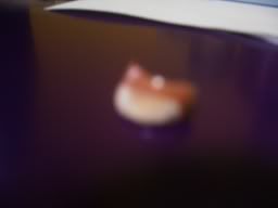 Image hosting by Photobucket