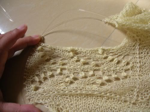 Lace Panel 2