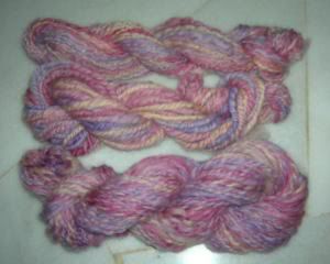 Iris plied