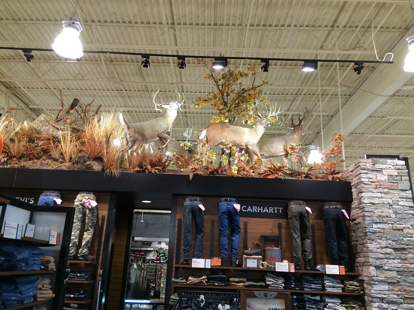 The Field and Stream Store in Miamisburg Ohio HUNTING INDIANA