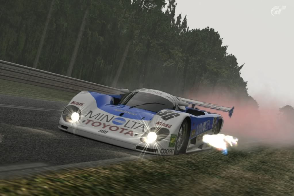 [img width=1023 height=682]http://img.photobucket.com/albums/v474/cosworth3d/GT5/CircuitdelaSarthe2009.jpg[/img]