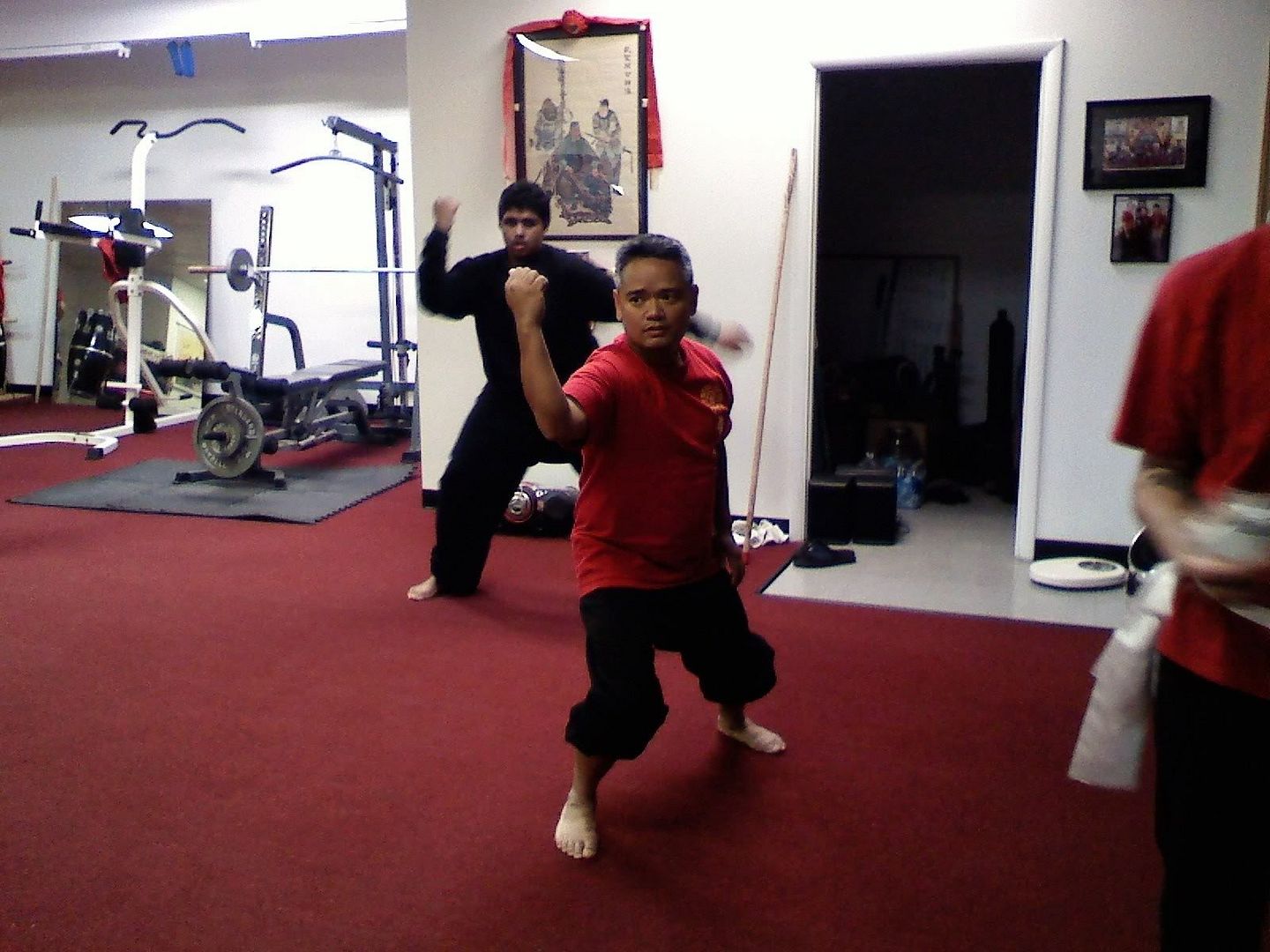 Learning Kung Fu White Krane Style