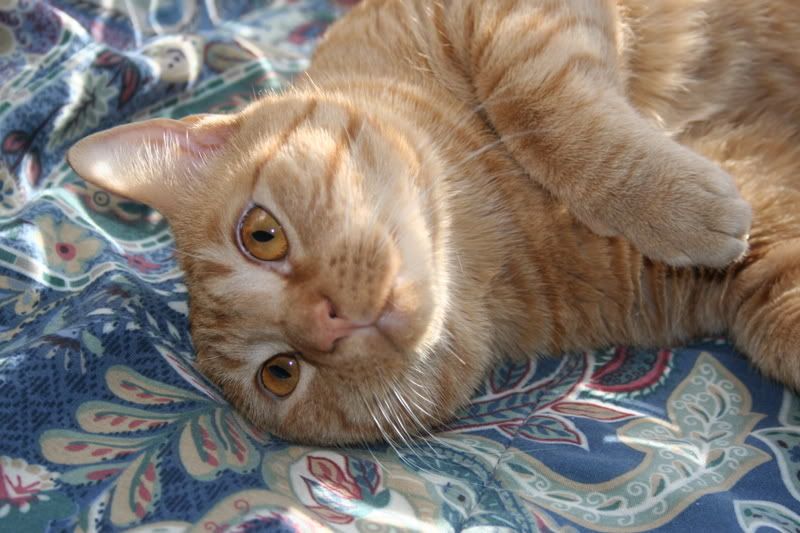 [Image: IMG_1173.jpg]