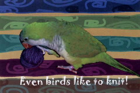knitbird