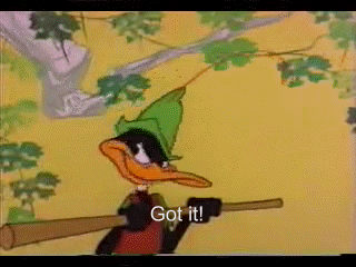 RobinHoodDaffydrillmytake_zps26530abe.gi