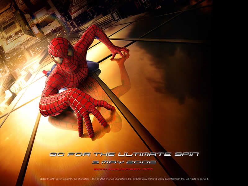 sxe wallpapers 800x600. wallpaper spiderman. sxe wallpapers 800x600.