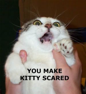 [Image: You_Make_Kitty_Scared_by_OB1LUVER13.jpg]