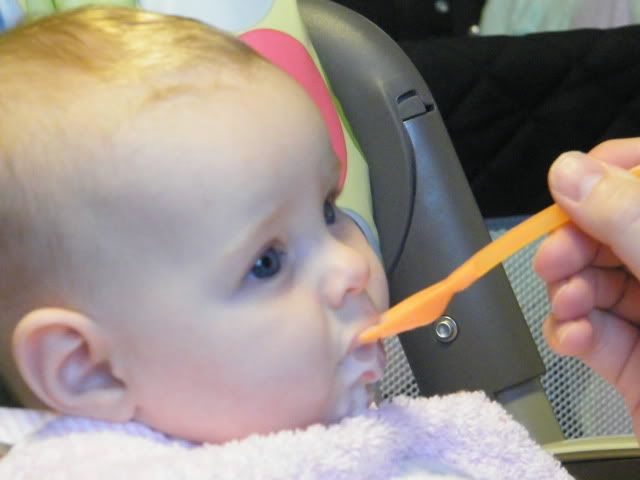 DSCF0648.jpg