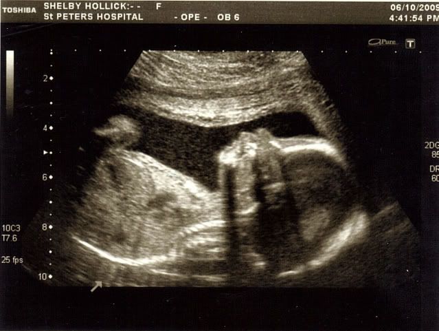 scan1185.jpg