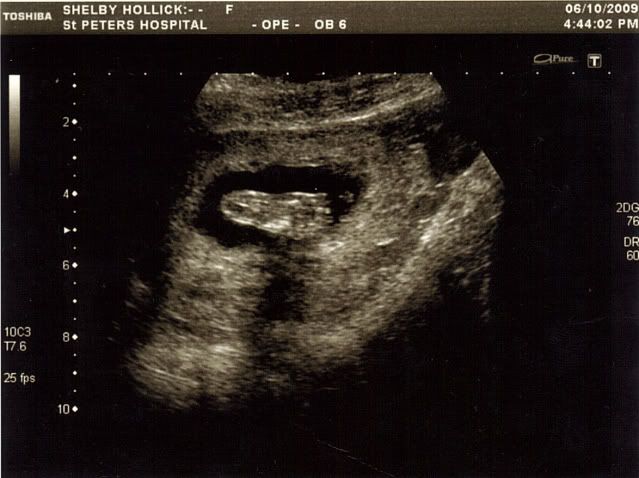 scan2185.jpg