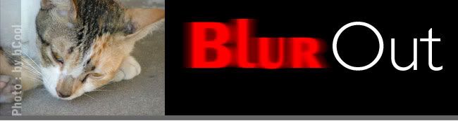 blurOut.jpg