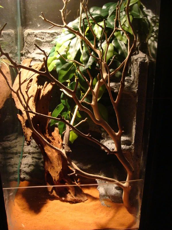 2008-12-8075.jpg