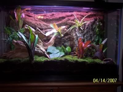 finishedtank04.jpg