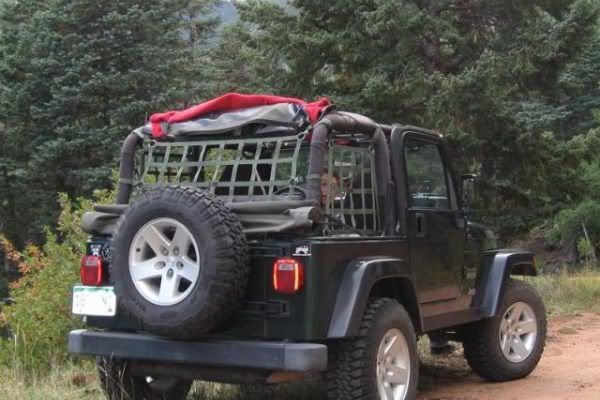 Jeep roll bar netting