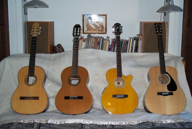 amalgamate top and back and refret job on classical guitar The