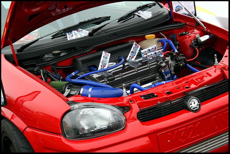 [Image: ISTS09_0052.jpg]