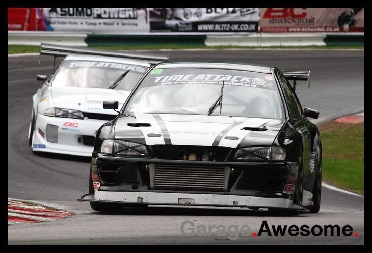 IMAGE: http://img.photobucket.com/albums/v476/crsimages/potn%20forum/TA2.jpg