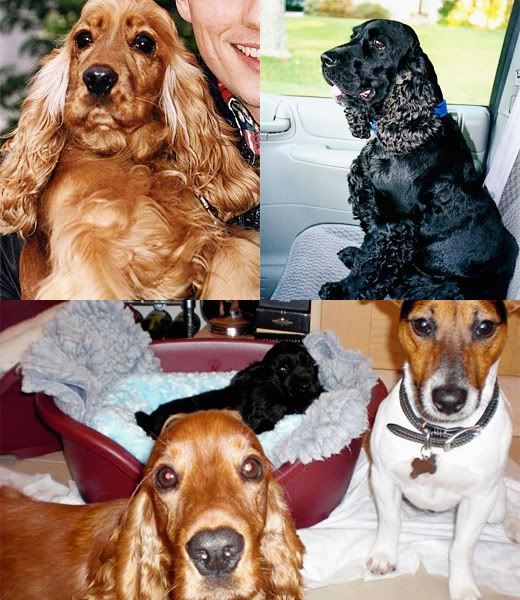 griggharris: picspam: John Barr...