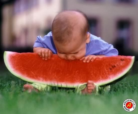 cocomerodl0.jpg