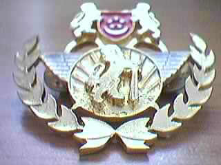 The RSAF-NCC Specialist Badge